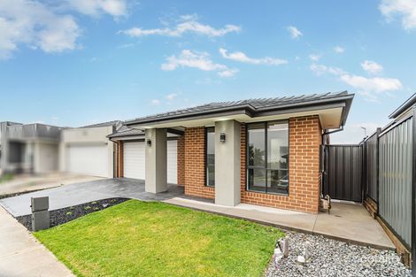 Property photo of 11 Erasmus Avenue Craigieburn VIC 3064