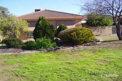 Property photo of 19 Jackling Drive Lavington NSW 2641