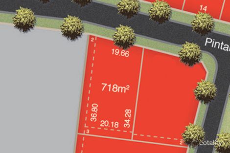 14 Pintail Dr, Torquay, VIC 3228