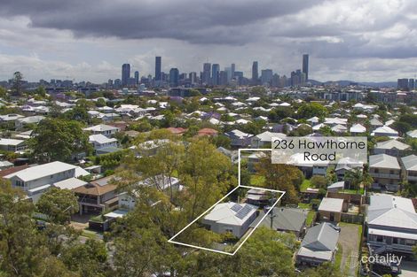 Property photo of 236 Hawthorne Road Hawthorne QLD 4171