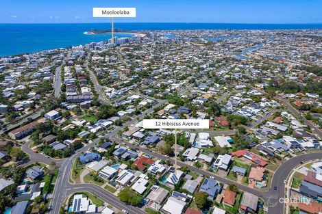 Property photo of 12 Hibiscus Avenue Mooloolaba QLD 4557