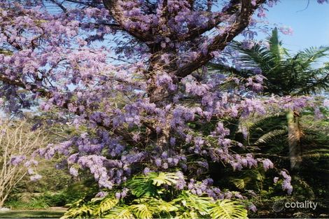 633 Old Bar Rd, Old Bar, NSW 2430