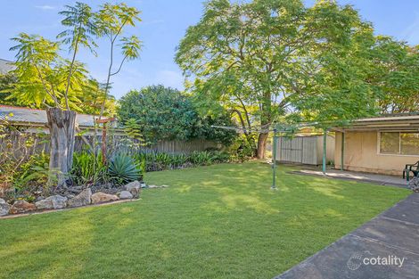 Property photo of 20 Barrack Road Cannon Hill QLD 4170