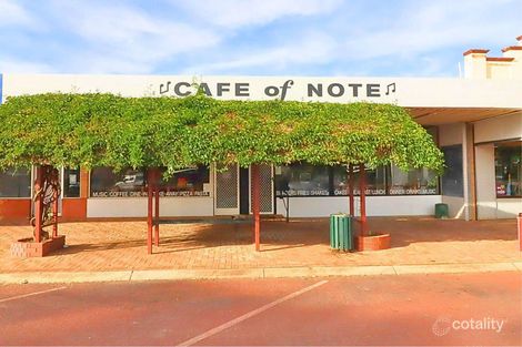 21 Fenton Pl, Wongan Hills, WA 6603