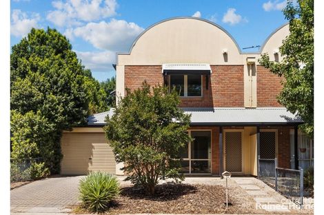 14 Frederick St, Richmond, SA 5033