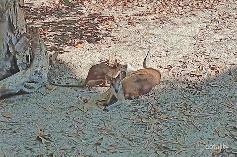 18/40-42 Clifton Rd, Clifton Beach, QLD 4879