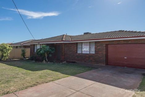 205 Broun Ave, Morley, WA 6062