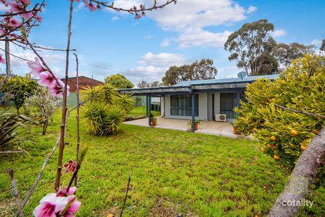 Property photo of 123 Louisa Lawson Crescent Gilmore ACT 2905