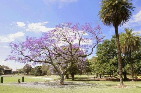 Property photo of 117 Brighton Street Petersham NSW 2049