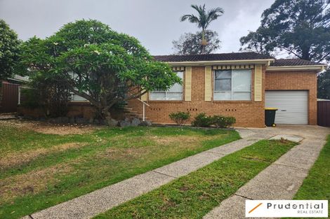 Property photo of 14 Lisson Place Minto NSW 2566