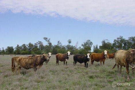 3095 Balonne Hwy, St George, QLD 4487