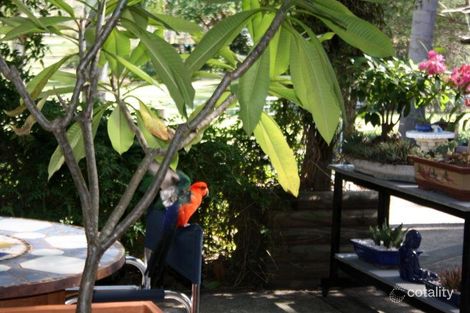 Property photo of 213 Carbeen Crescent Nanango QLD 4615