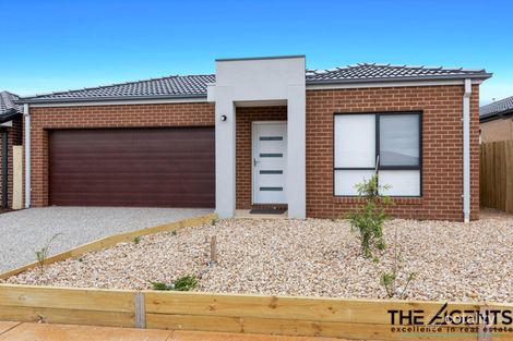 Property photo of 24 Linacre Crescent Melton South VIC 3338
