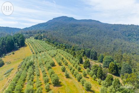 Property photo of 415-467 Doaks Road Lilydale TAS 7268