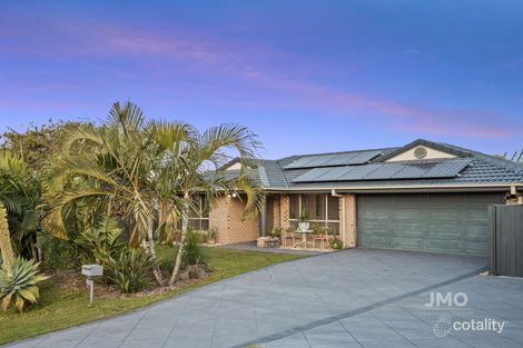 Property photo of 3 Dahlia Crescent Ormeau QLD 4208