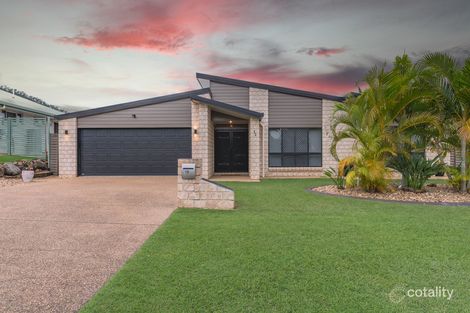 Property photo of 12 Cycad Court Norman Gardens QLD 4701