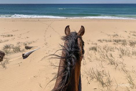 53 Beashels Lane, Bergalia, NSW 2537