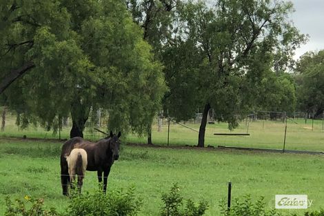Property photo of 56 Rodger Street Chinchilla QLD 4413