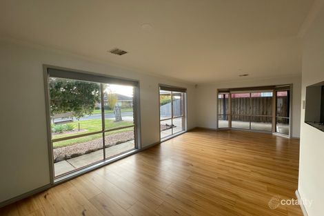 Property photo of 7 Dunmow Crescent Hamlyn Heights VIC 3215