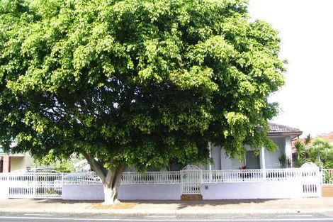 93 Coward St, Mascot, NSW 2020