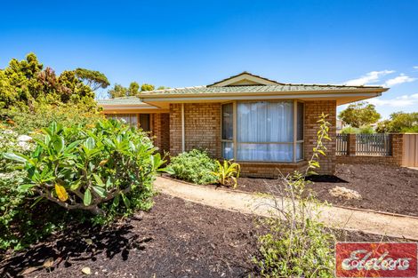 Property photo of 6 Calythrix Court Strathalbyn WA 6530