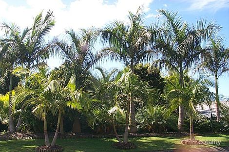 13 Harrier St, Aroona, QLD 4551