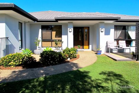Property photo of 29 Toorak Street Glenella QLD 4740