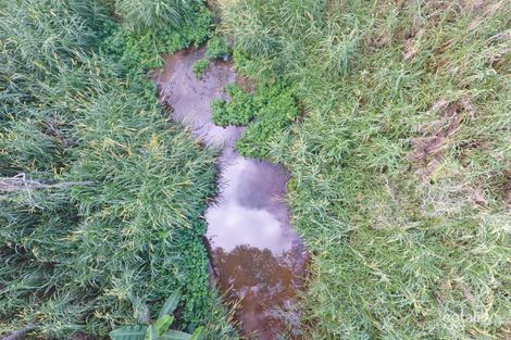 77 Carman Rd, Paddys Green, QLD 4880