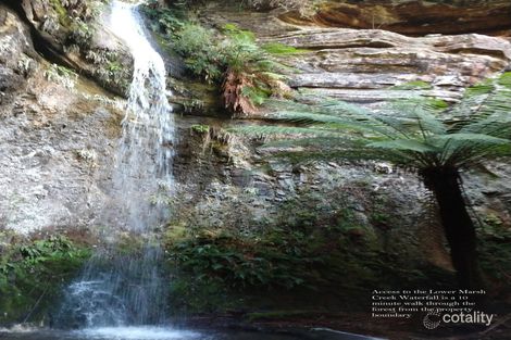 956 Mount Elephant Rd, Gray, TAS 7215