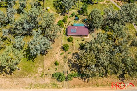 14 Wallabadah Creek Rd, Wallabadah, NSW 2343