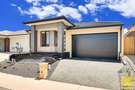 Property photo of 46 Hodgson Avenue Tarneit VIC 3029