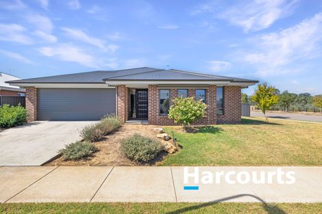 17 Thurles Ave, Wangaratta, VIC 3677