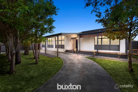 Property photo of 10 Eton Road Belmont VIC 3216