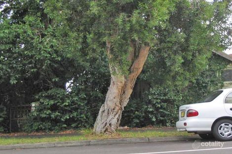 55 Riverview Rd, Earlwood, NSW 2206