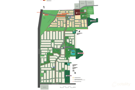 Property photo of 22 Peanut Avenue Mickleham VIC 3064