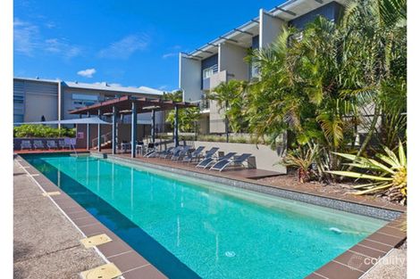 47/21 Love St, Bulimba, QLD 4171