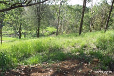 1262 Paddys Flat Rd, Tabulam, NSW 2469