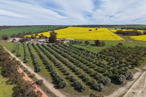 1182 Doodenanning-Mawson Rd, Balkuling, WA 6383