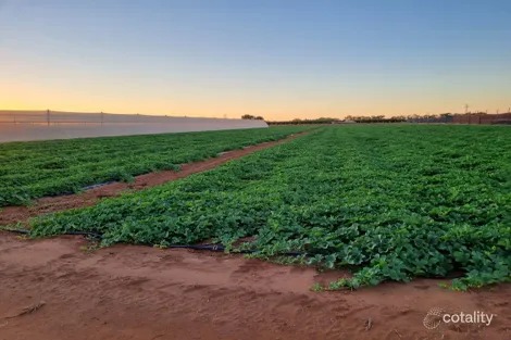 138 North River Rd, North Plantations, WA 6701