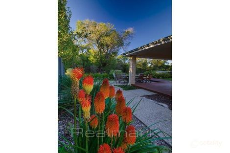 Property photo of 24 Gibson Drive Dunsborough WA 6281