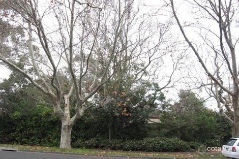 84 Were St, Brighton, VIC 3186