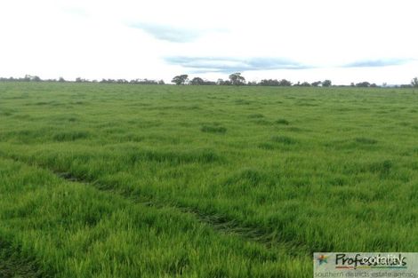 Property photo of 76 Partridge Road Benger WA 6223