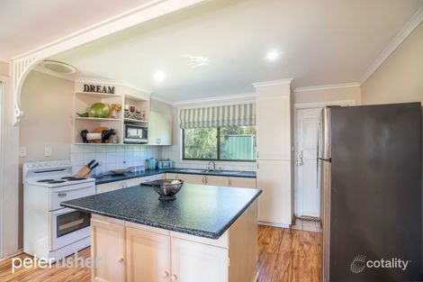 Property photo of 14 Norman Lane Molong NSW 2866