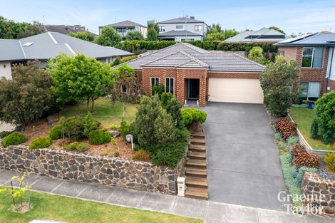 Property photo of 11 Esperence Crescent Highton VIC 3216