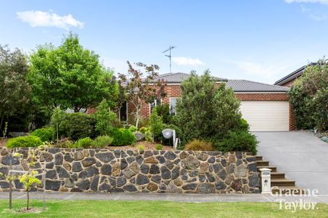 Property photo of 11 Esperence Crescent Highton VIC 3216