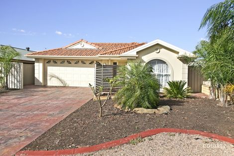 13 Rossiter Dr, Evanston Park, SA 5116