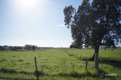 Property photo of 11 Nulla Nulla Lane Hinton NSW 2321