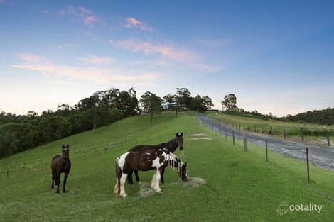 Property photo of 48B Bardwell Drive Willow Vale QLD 4209