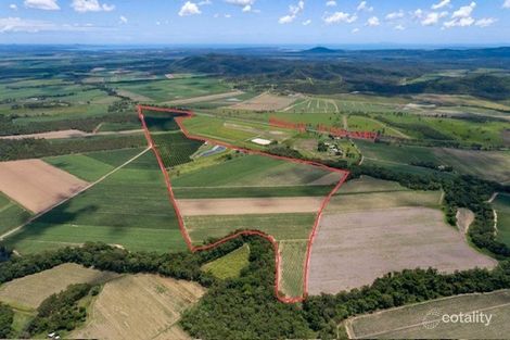 101 Harris Rd, Koumala, QLD 4738