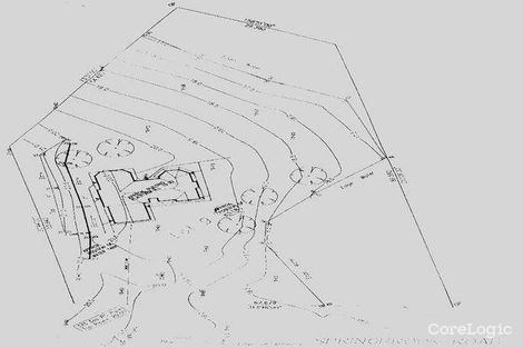 Property photo of 2347 Springbrook Road Springbrook QLD 4213